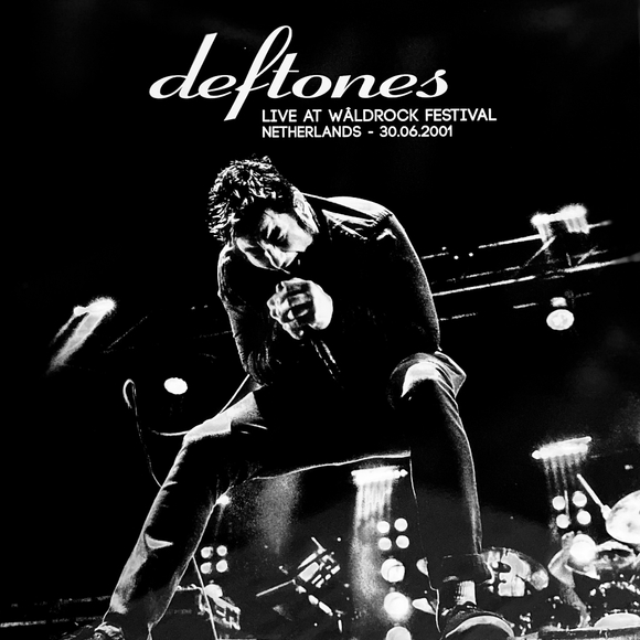 Meet your Posher, Coco - Picture 11 of 13